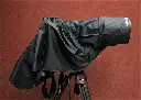 Newswear-371.webp